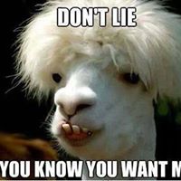 Eric Thurman Photo 36