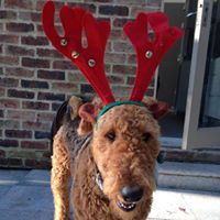 Howard Matthews Photo 7