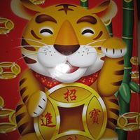 Susanna Cheng Photo 5