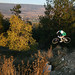 Steven Leslie Photo 27