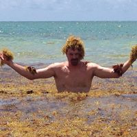 Sean Mcelroy Photo 22