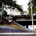 Ian Rosenberg Photo 19