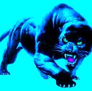 Joseph Frantz Photo 34