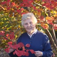 Nancy Mcdermott Photo 9