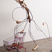 Robert Derr Photo 23