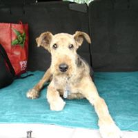 Billy Norton Photo 21