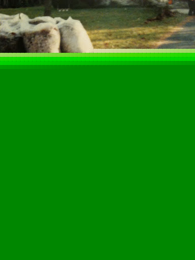 Deanna Rice Photo 13