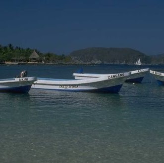 Angie Powell Photo 7