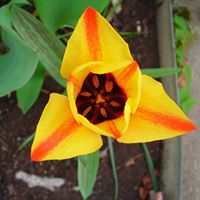 Cheryl Jorgensen Photo 27