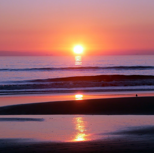 Anthony King Photo 7