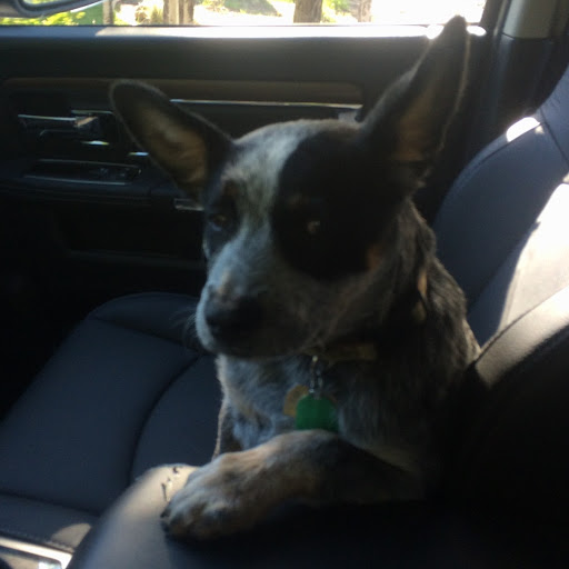 Thomas Barker Photo 52 Thomas Barker Photo 52