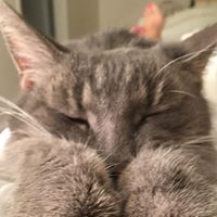 Deborah Blair Photo 11