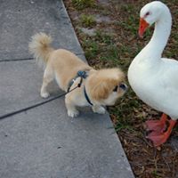 Barbara Levin Photo 12