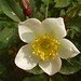 Luis Rose Photo 18