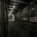 Catherine Lane Photo 38