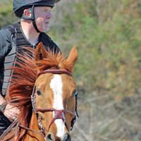 Randall Packer Photo 14