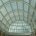 Susan Sobel Photo 16