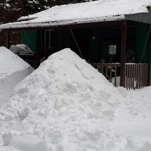 Carl Dawson Photo 44