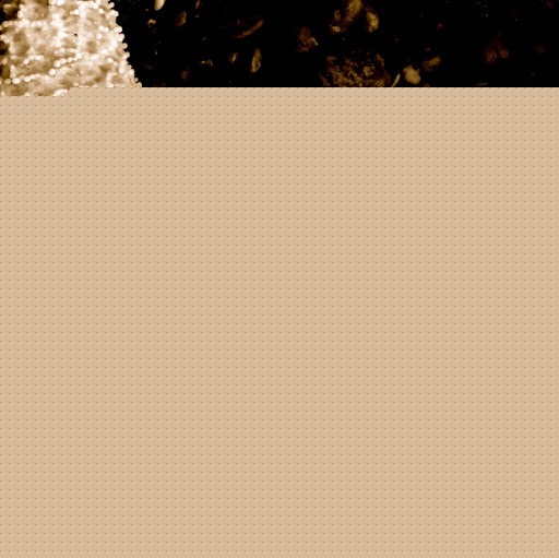 Dianne Harris Photo 29