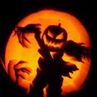 Shane Osborne Photo 17