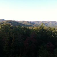 Alan Moffitt Photo 15