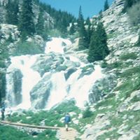 Debra Schwartz Photo 48