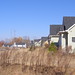 Jeffrey Arrington Photo 12