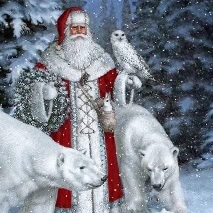 Tracey Poole Photo 16