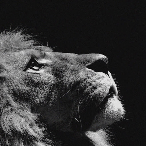 Fred Perkins Photo 22