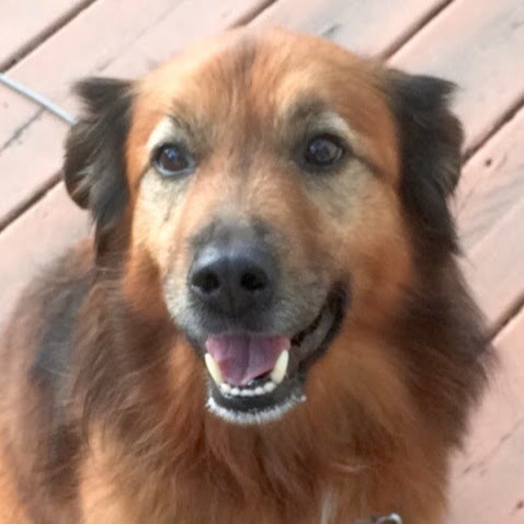 Connie Mendoza Photo 11