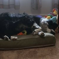 Cynthia Key Photo 29