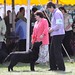 Karen Helmer Photo 6