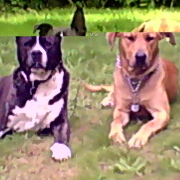 Nathan Horton Photo 12