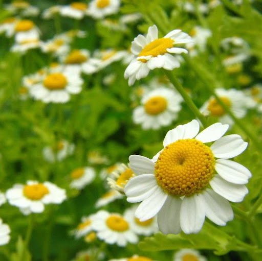 Gloria Reyes Photo 26