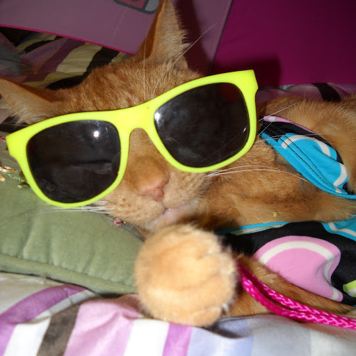 Milo Kincaid Photo 1