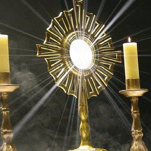 Annette Gibson Photo 7