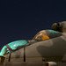 Dawn Hinds Photo 22