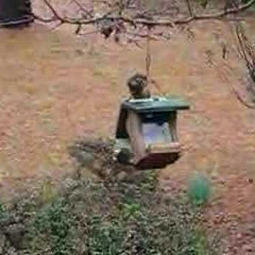 Joe Potts Photo 38 Joe Potts Photo 38