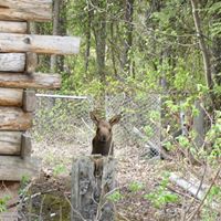 Nathan Mccullough Photo 13