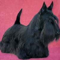 Jeanie Jennings Photo 11