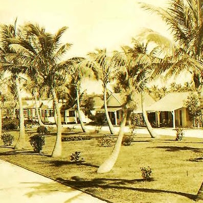 Janet Devries Photo 17