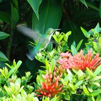 Jennifer Pridemore Photo 6