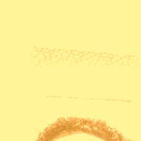 Brandon Monroe Photo 16