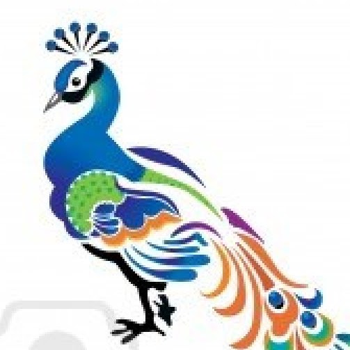 Catherine Noonan Photo 25