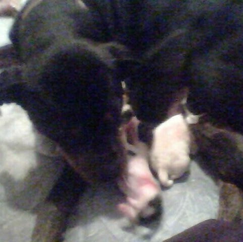 Amber Thomas Photo 53