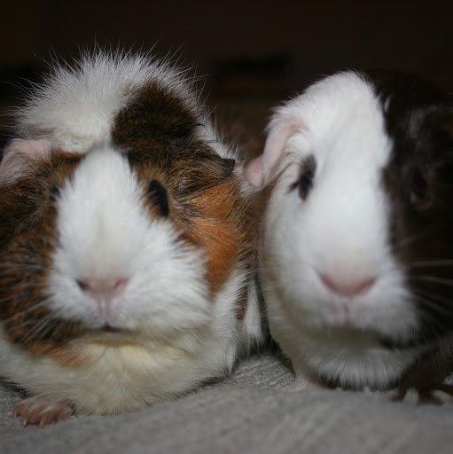 Celia Anderson Photo 33