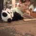 Erika Chang Photo 28