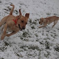 Tammy Flemming Photo 5