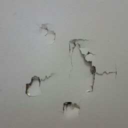 Josephine Hall Photo 20