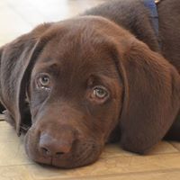 Angie Webber Photo 21